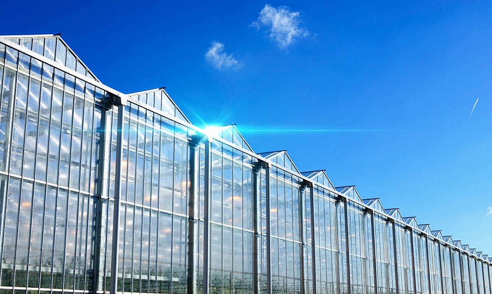 modern greenhouse