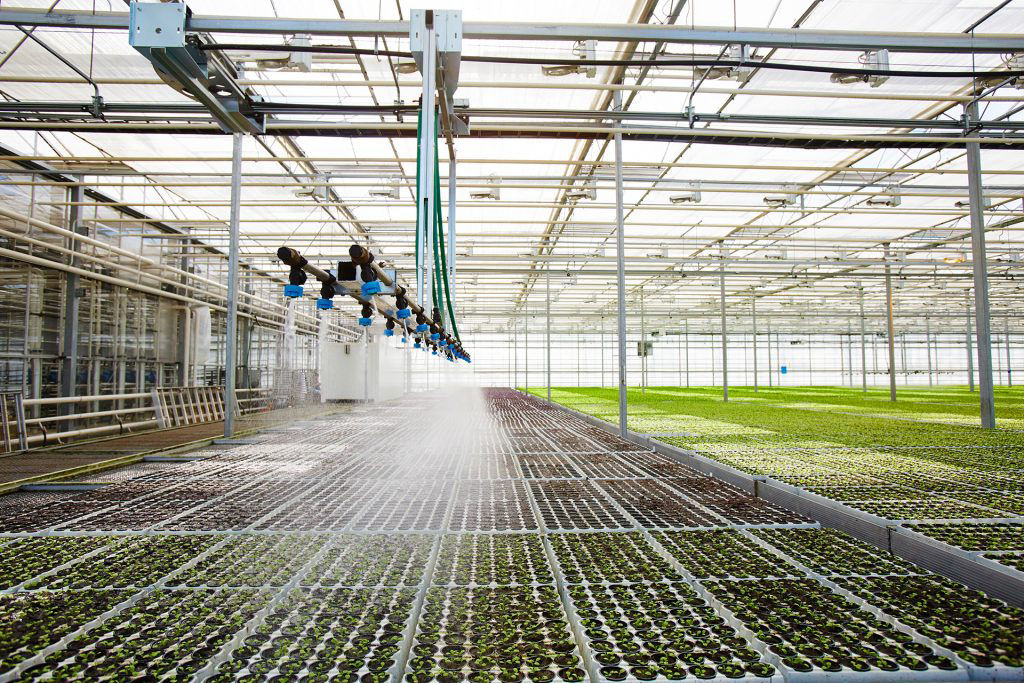 modern greenhouse